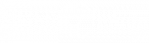 logo_2020_blanc